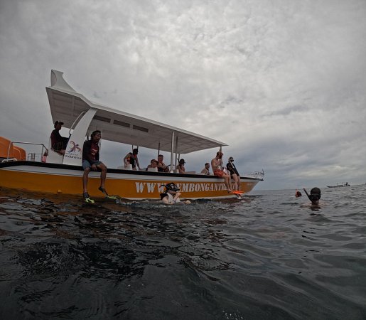⁠Snorkeling Nusa Lembongan Trips with Manta Ray