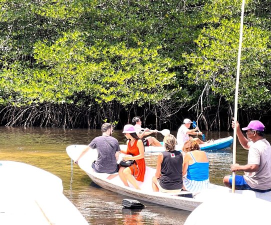 Mangrove Tour Nusa Lembongan