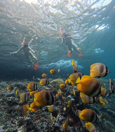 Is a Day Trip to Nusa Penida Worth It?