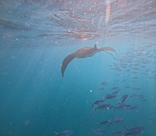 West Nusa Penida: The Ultimate Itinerary for First Timers