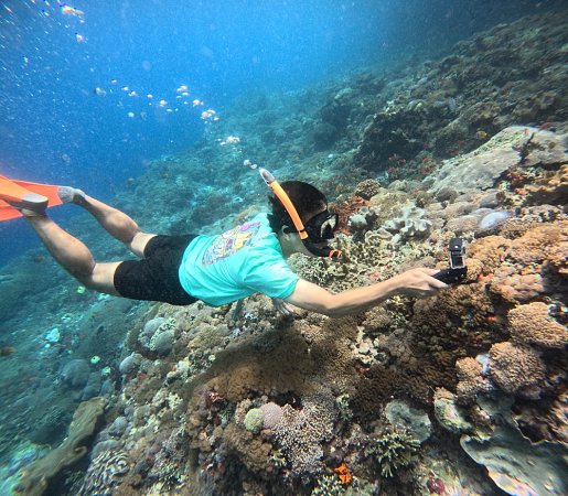 Health Benefits of Snorkeling