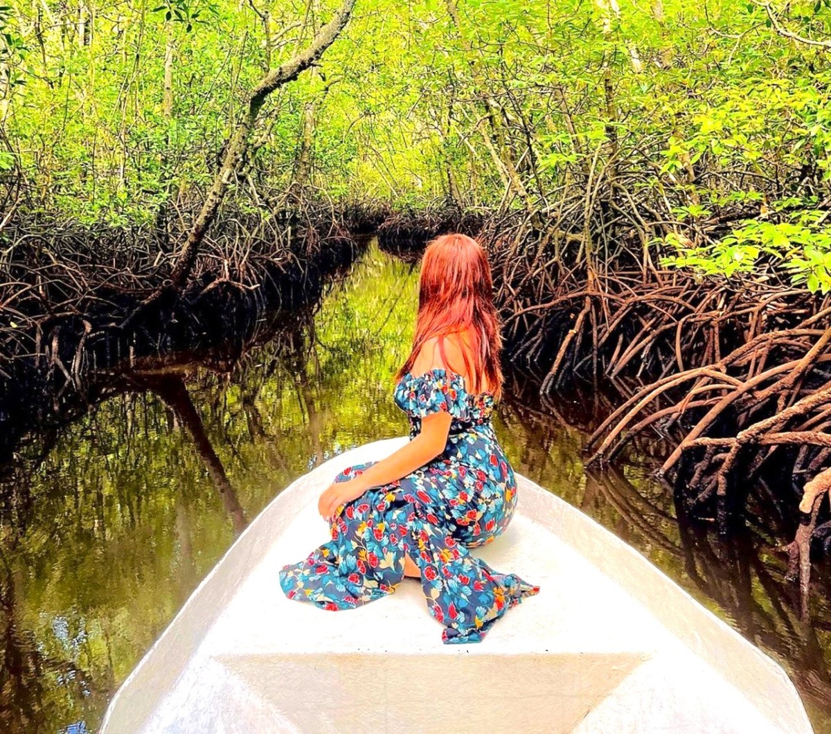 Mangrove Tour